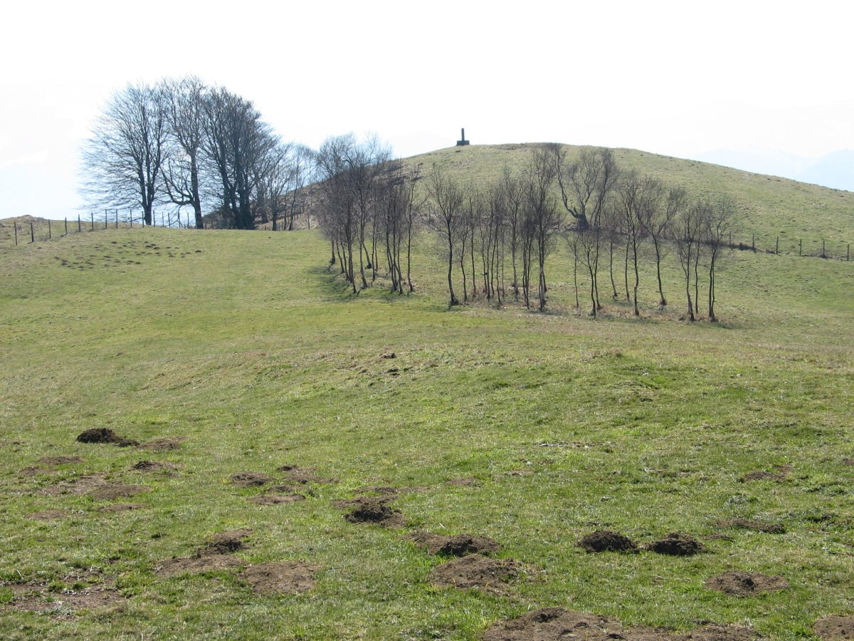 Tontorraren inguruak