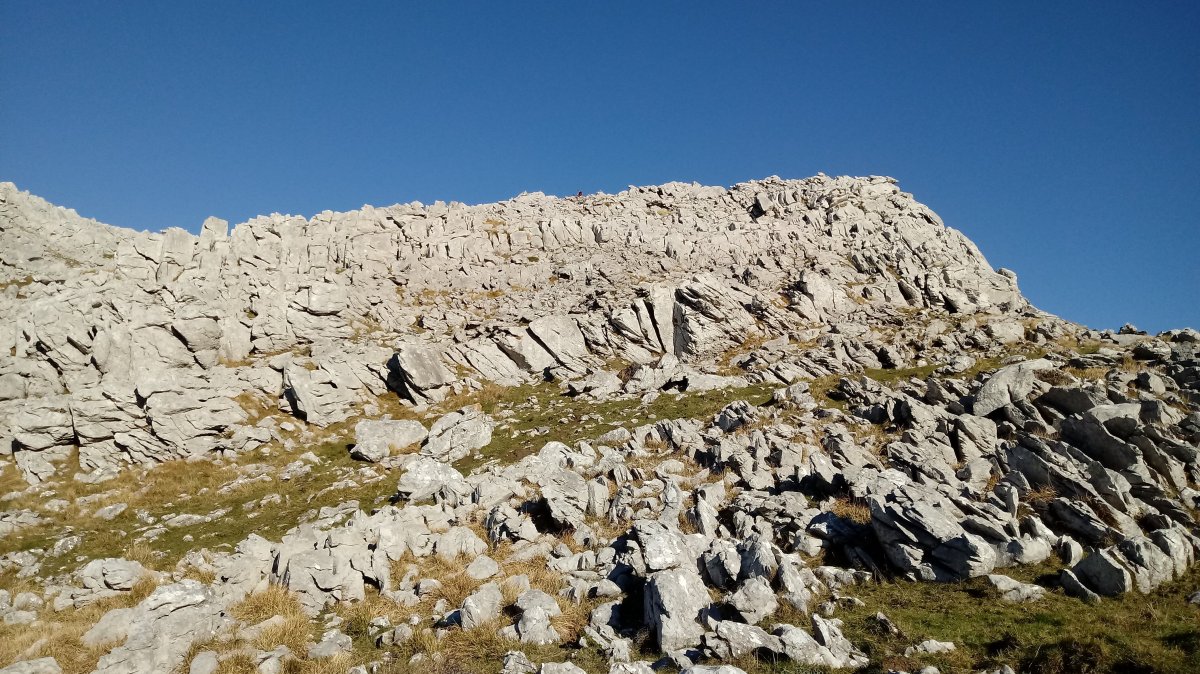 Lekanda (1309m) tontorraldea