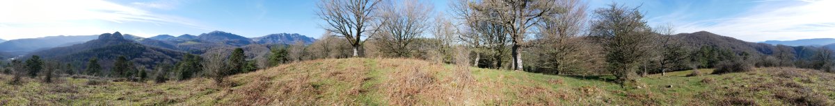 360ºko panoramika HEko muinotik