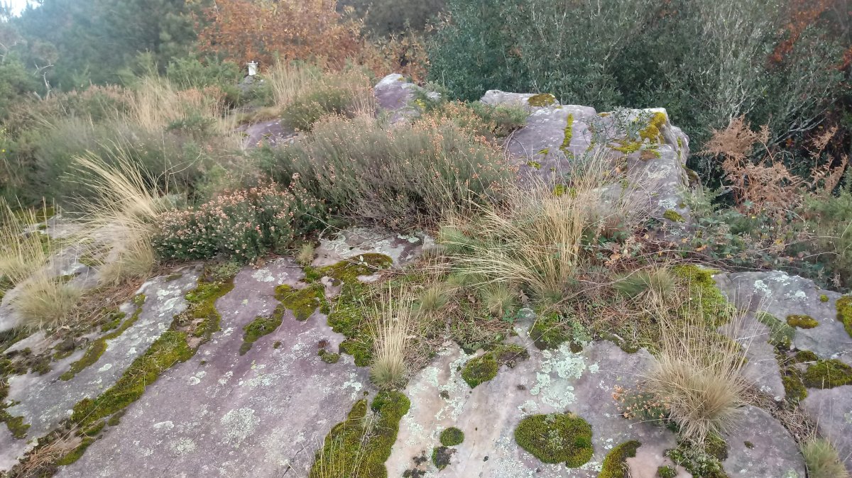 Muntto (499m) tontorra