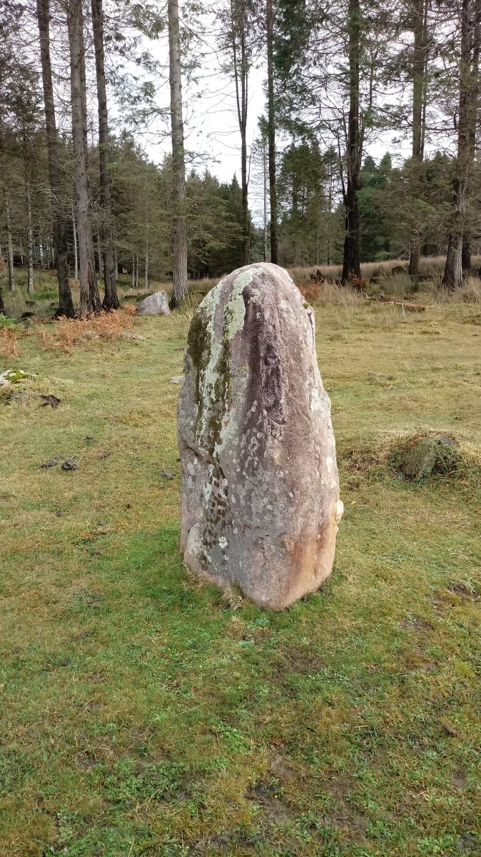 Usobelartza zutarria 4