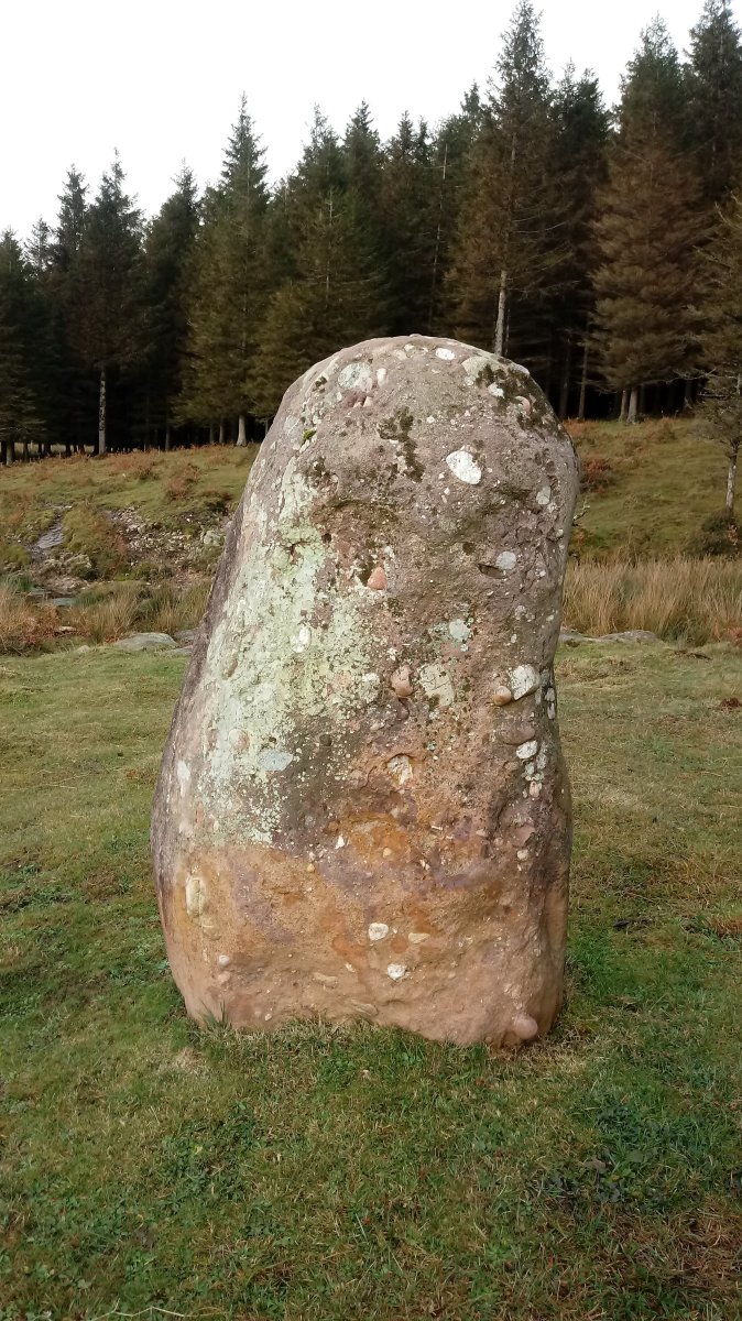 Usobelartza zutarria 3