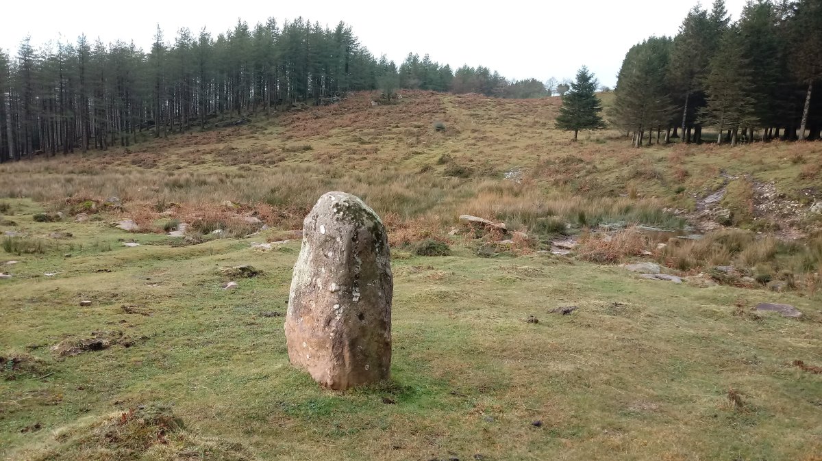 Usobelartza zutarria 2