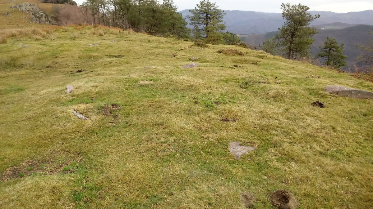 Eteneta II harrespilak