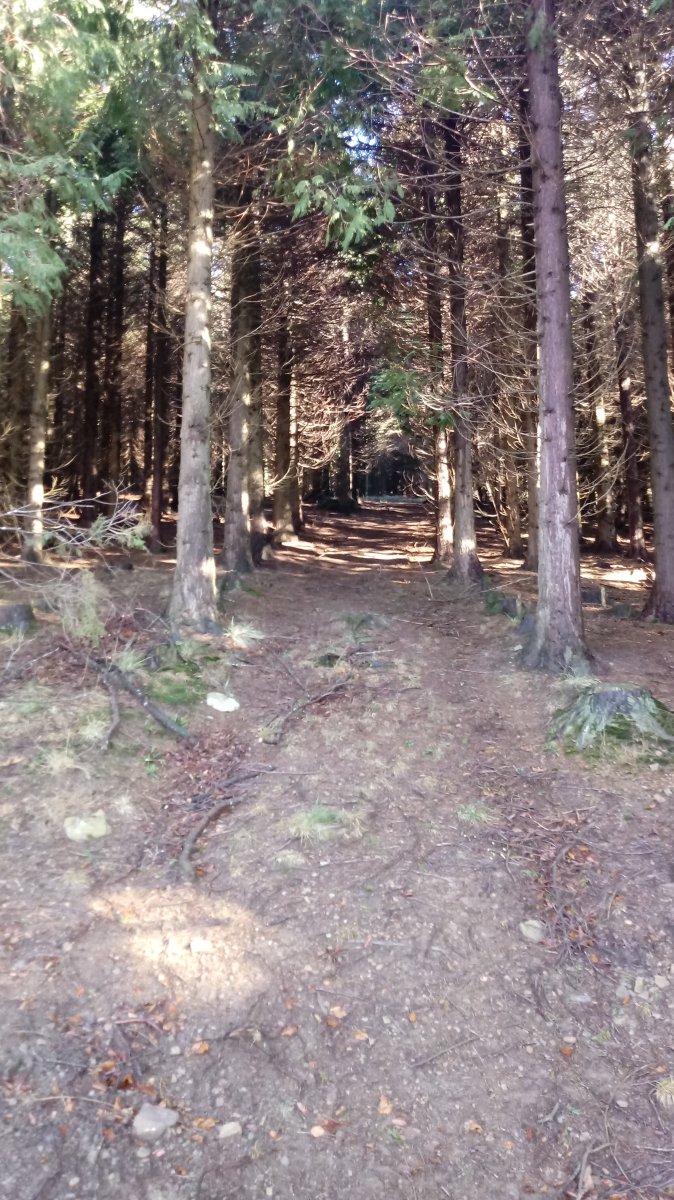 Aztio (893m) azken zatia