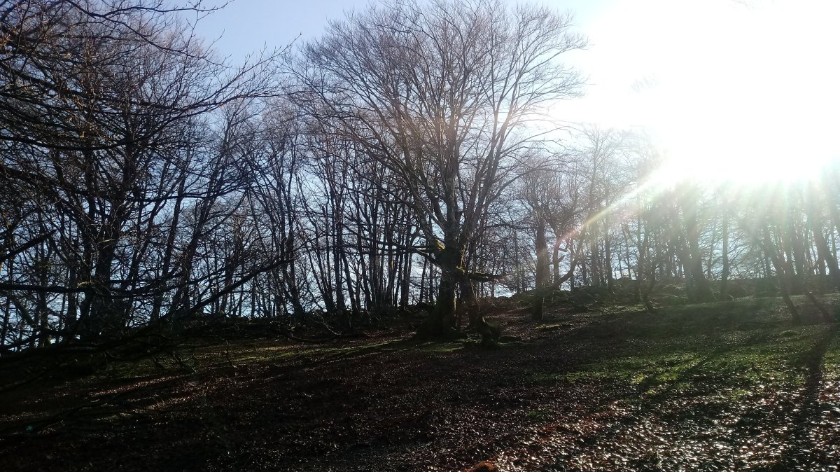 Pagoaundi (1029m) azken zatia