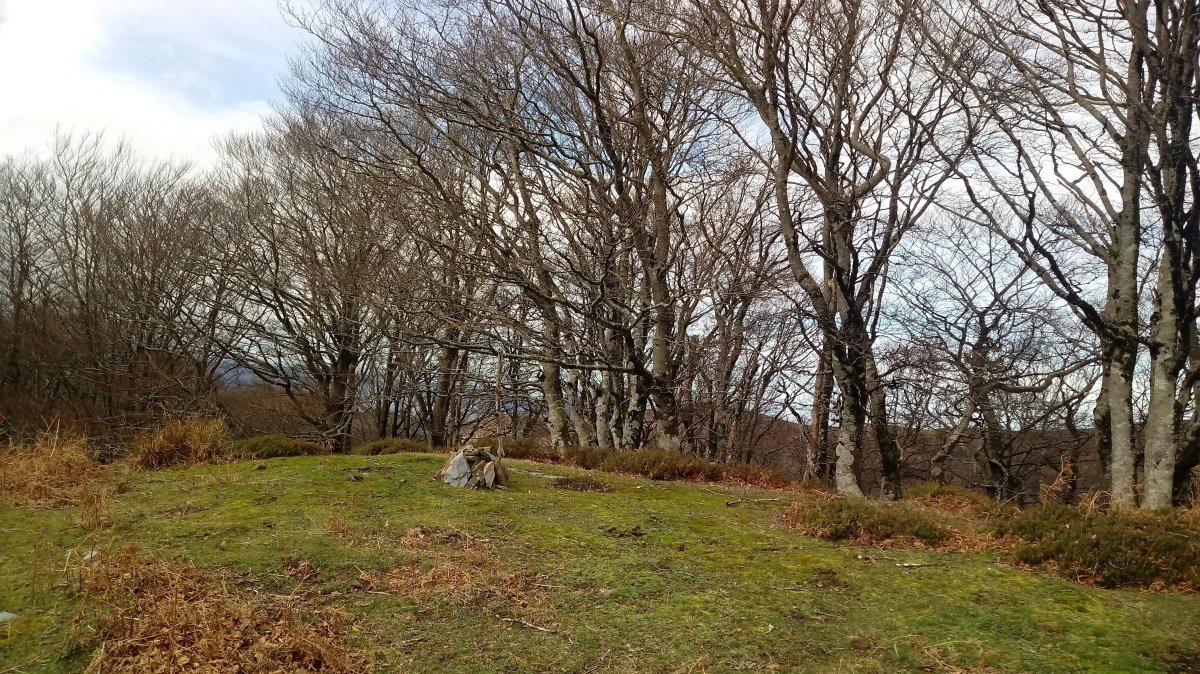 Iramendi (1015m) tontorra