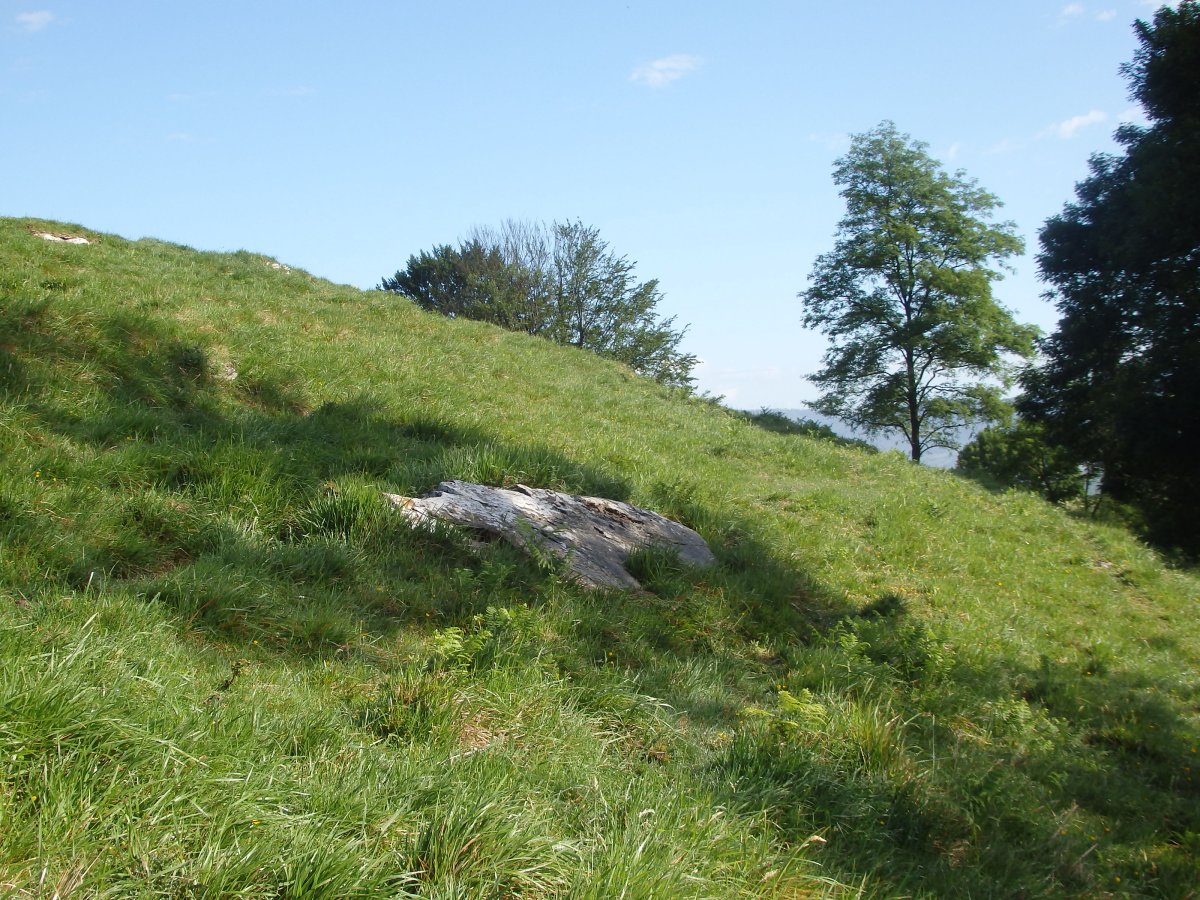 ALTZUSTABERRI II zutarri