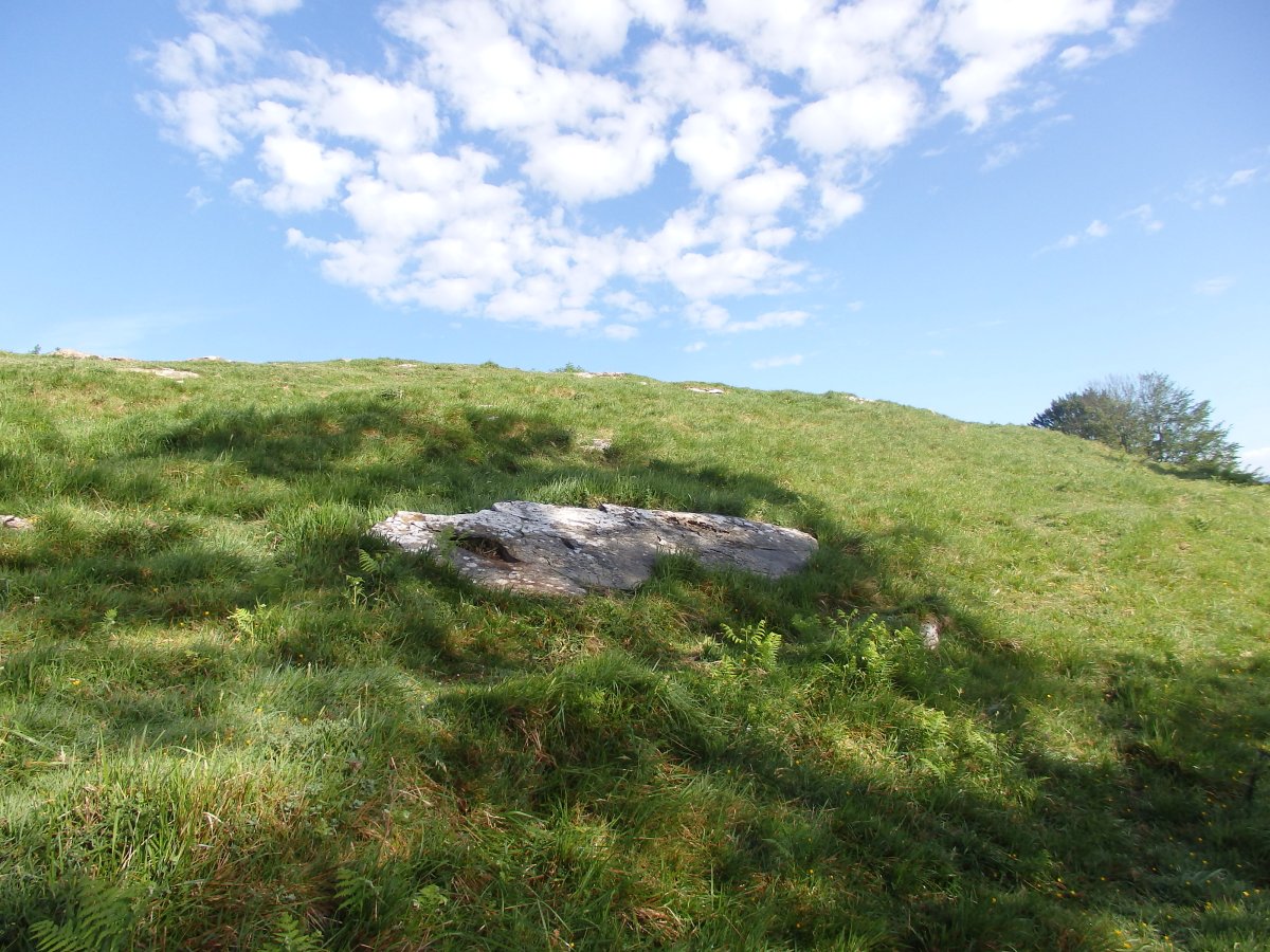 ALTZUSTABERRI II zutarri