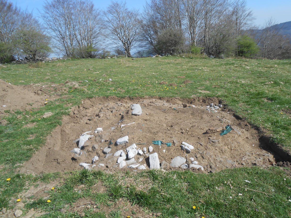 Tumulu industua, 2014an