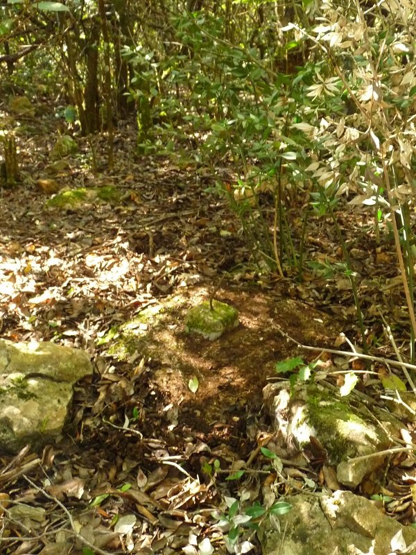 Tako geodesikoa Otxalantan