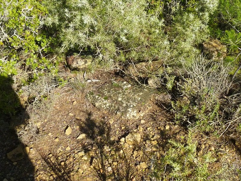 Seinale geodesikoa gailurrean