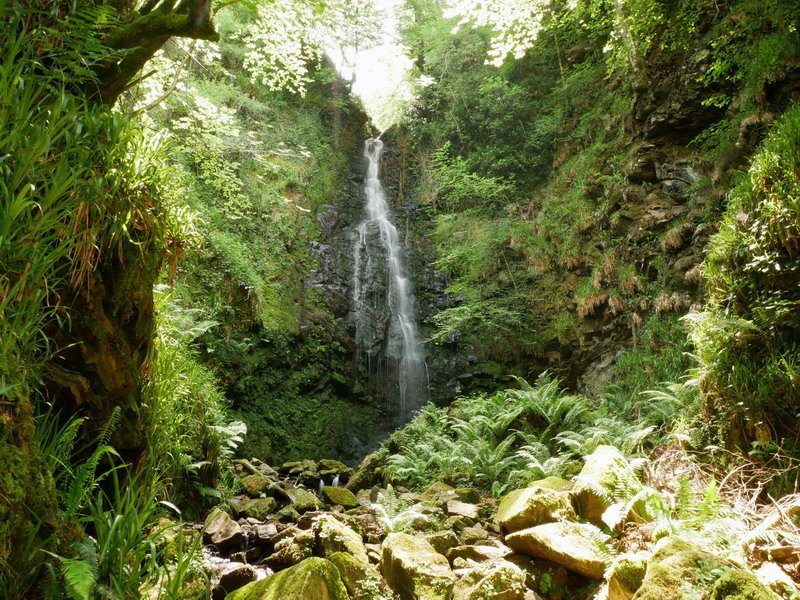 Belaustegi ur-jauzia