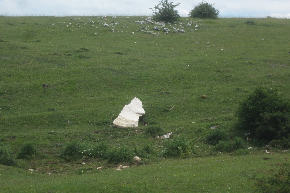 Monollito* Legaire Erreka  (Junio 2020)