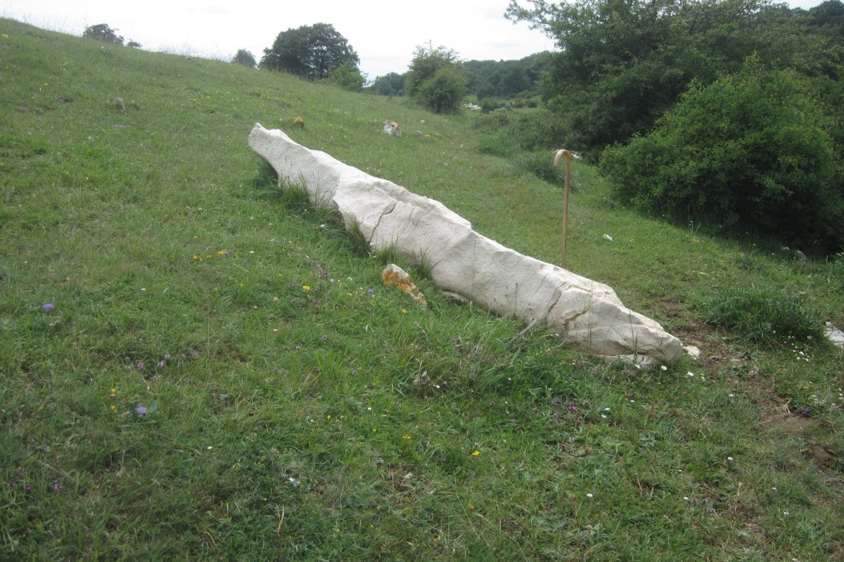 Monolito* Legaireko Erreka  (Junio 2020)