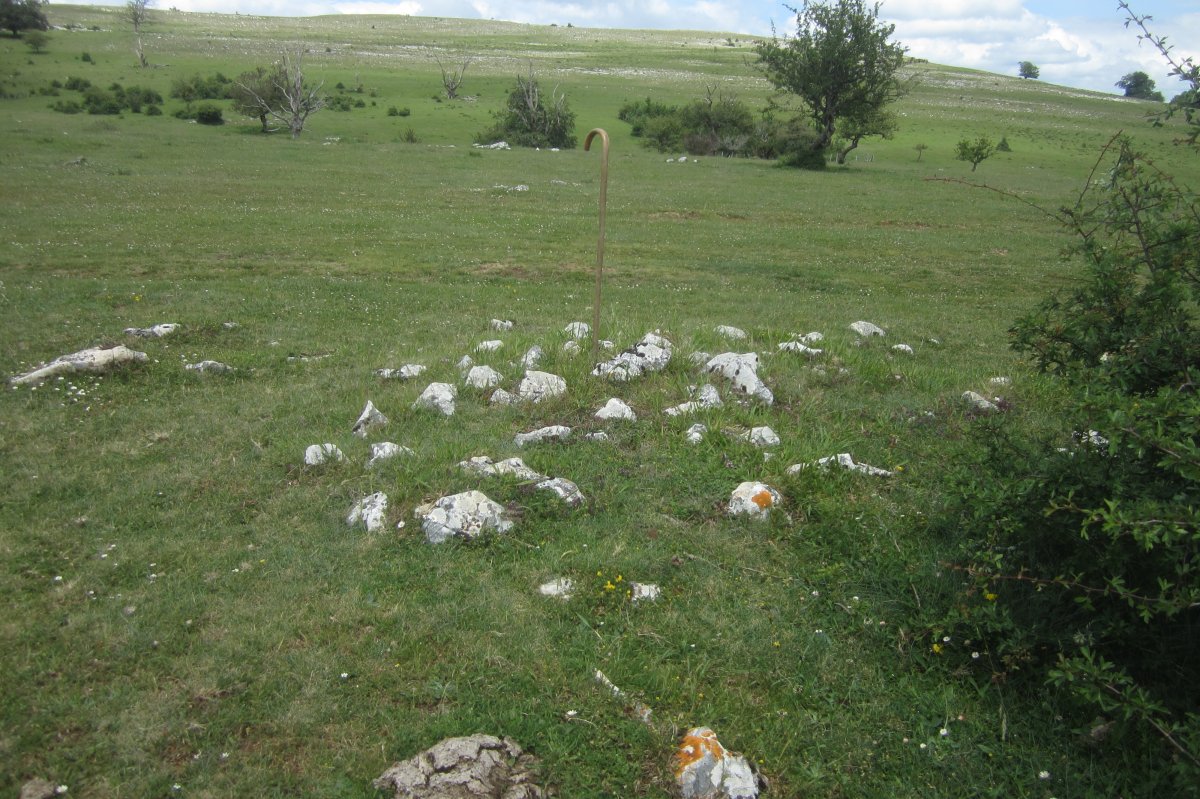 Túmulo Legaire Bidea  (Junio 2010)