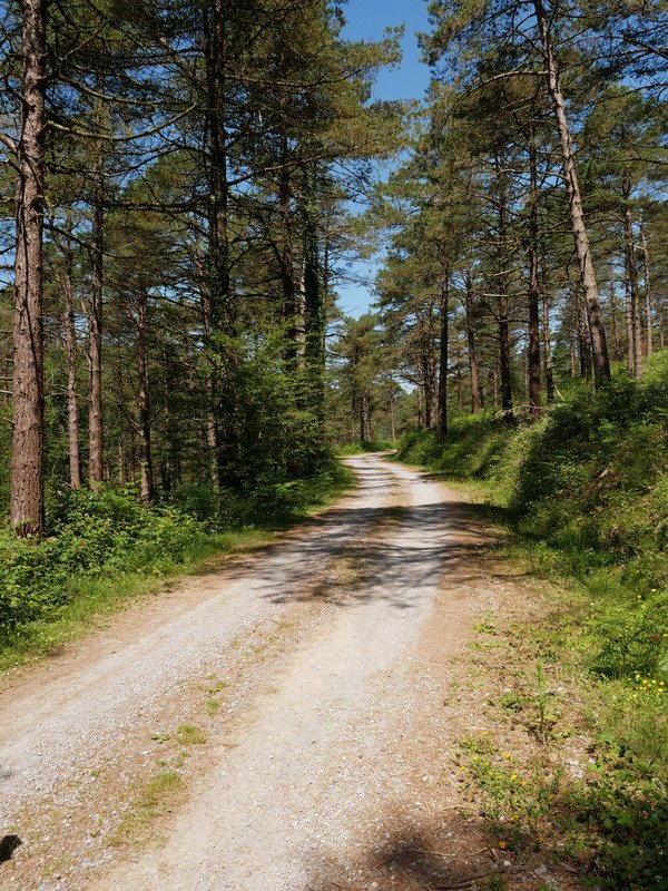 Ibilbidearen zati handienean bide erosoak daude