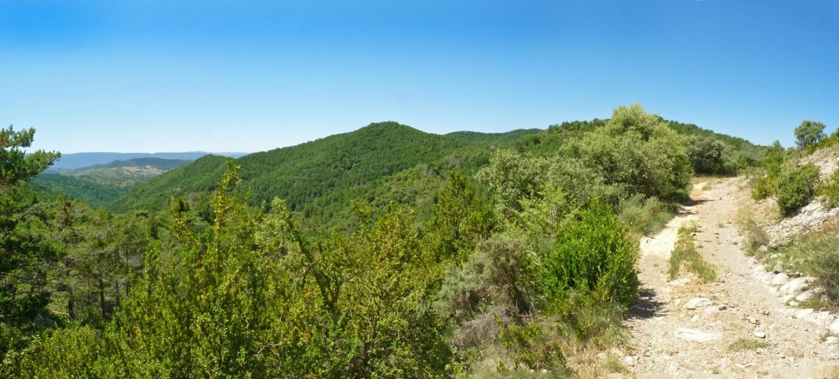 Bidea mendien gainaldean