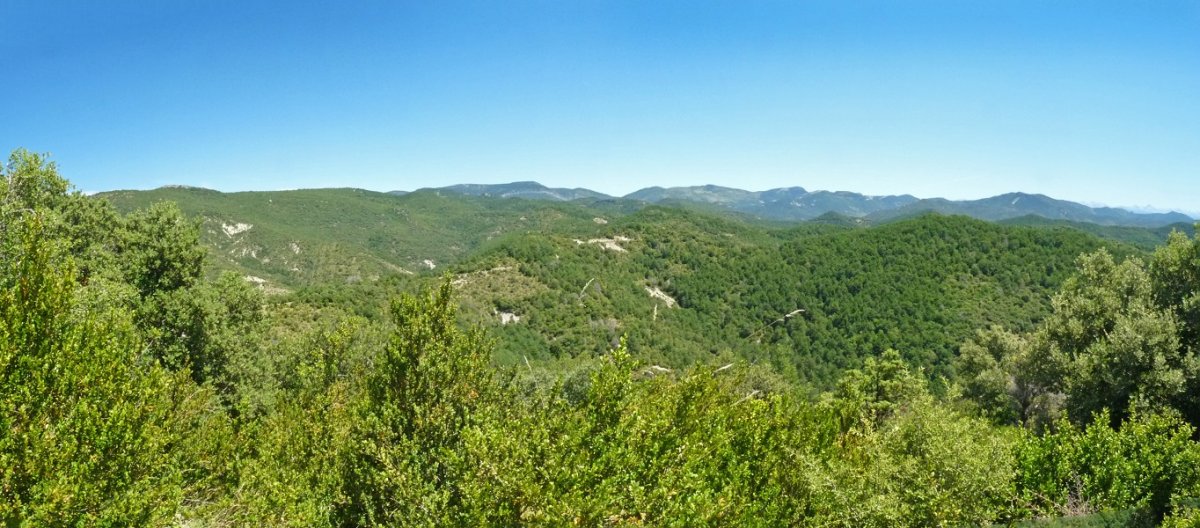 Lekunz eta Sariaindi, Boyeral ingurutik