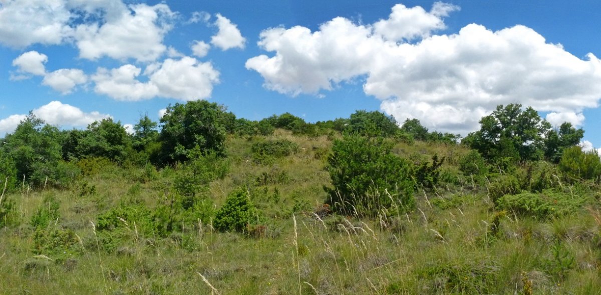 Borda Largako azken metroak