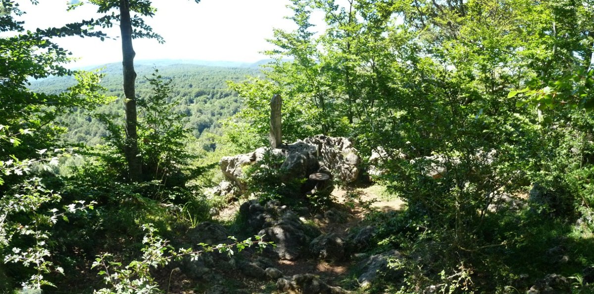 Buzoia, beheragoko kota batean