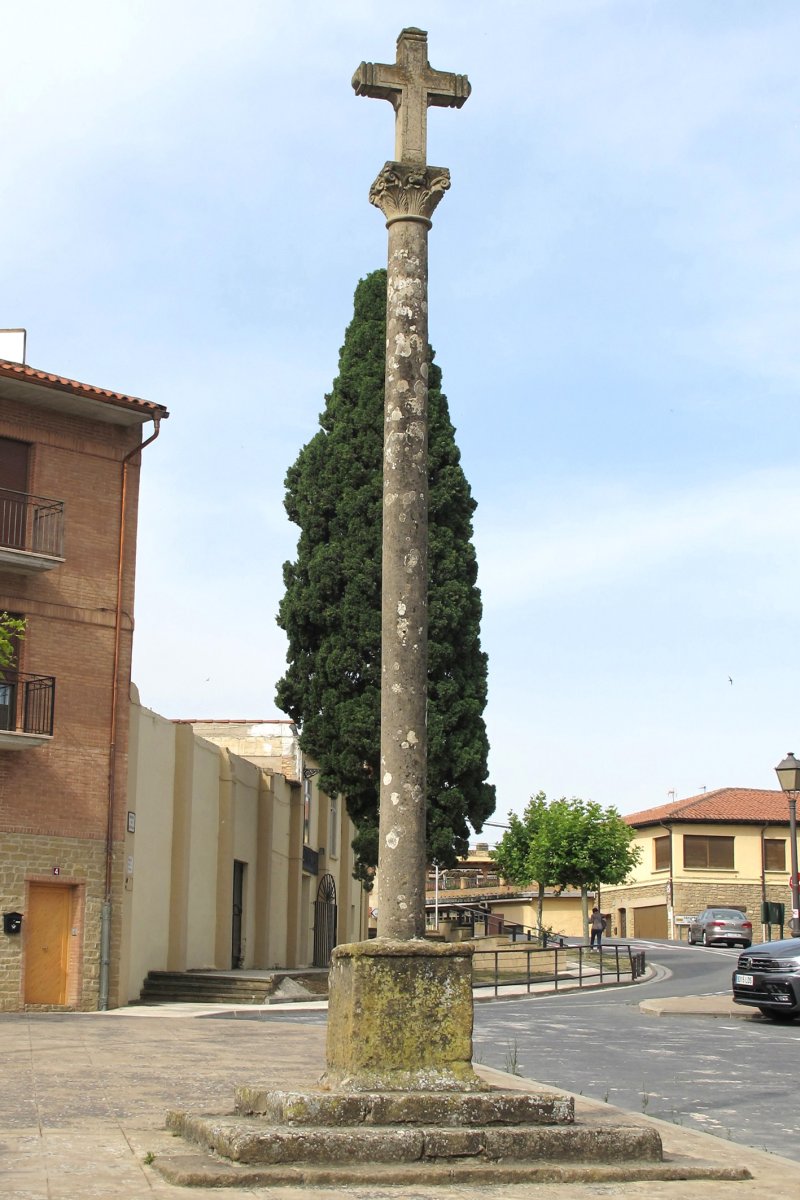 San Francisco kruzeroa, Erriberri