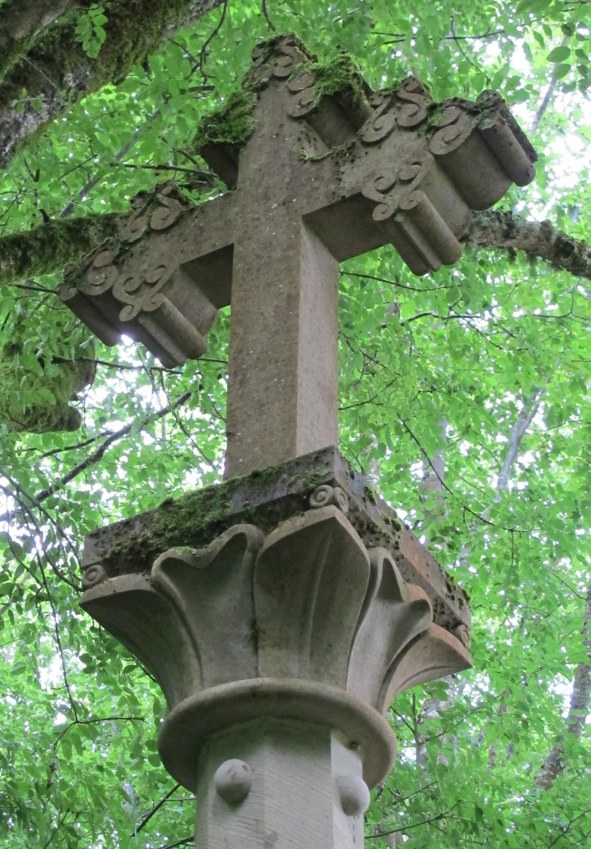 Gurutze Zuria, Orreaga