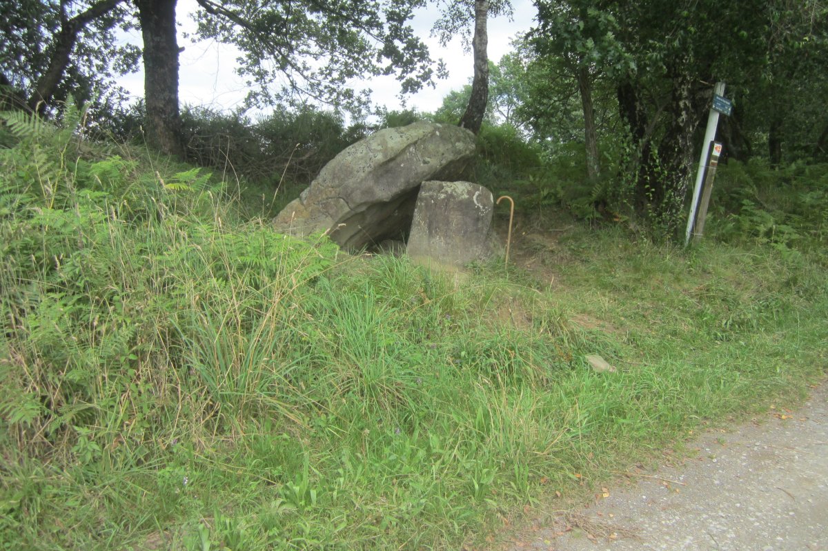 Dólmen Peyre Dusets  (Julio 2020)
