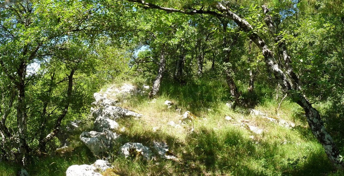 Gainaldeko harrizko gandorra