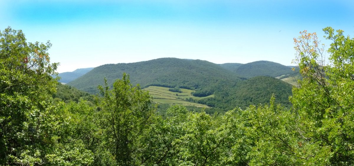 Ikuspegi mugatua Ozingo gailruretik