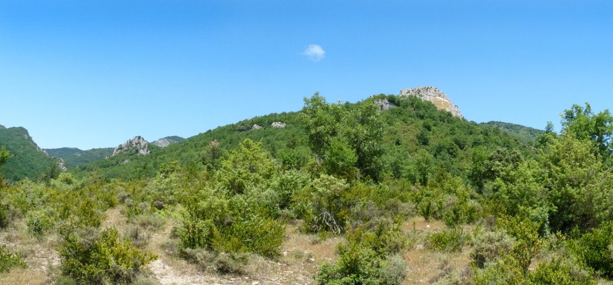 Sandoain, ekialdeko harria