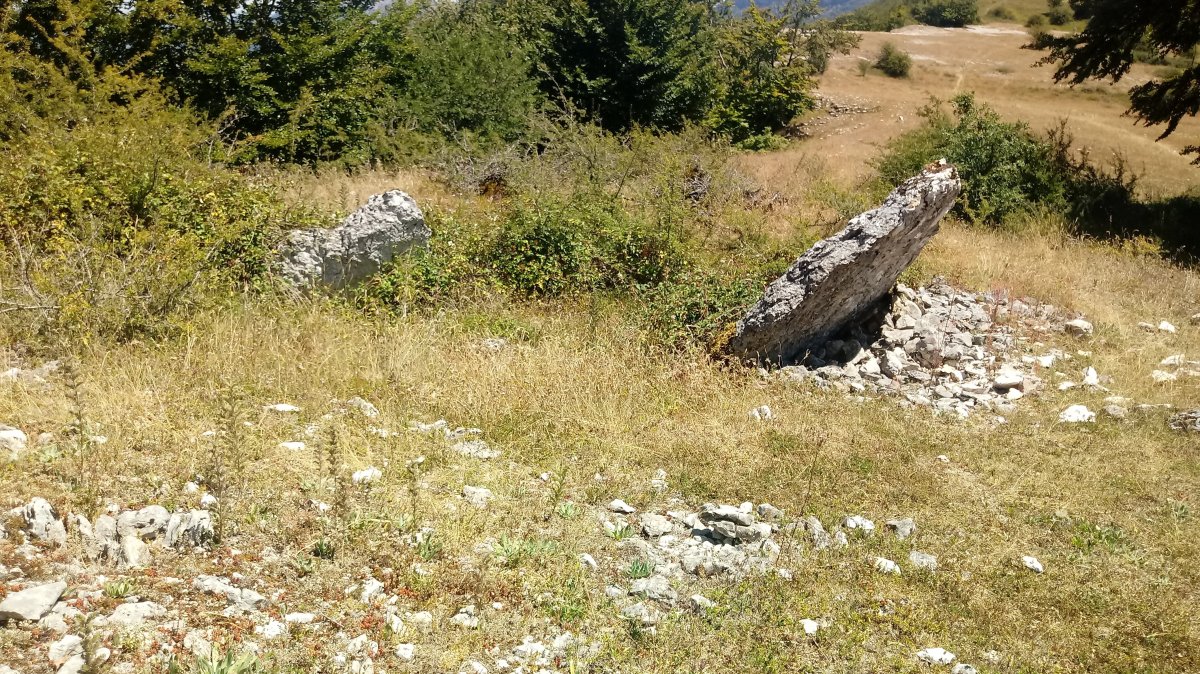 San Juan trikuharria