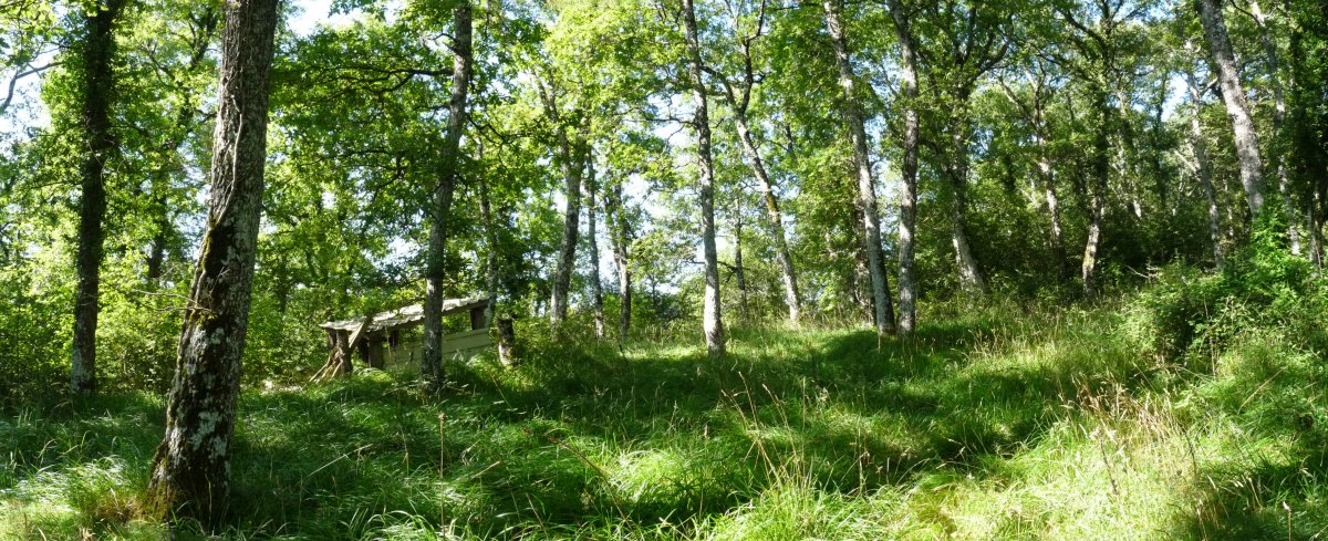 Aizkodi mendiko gainaldea