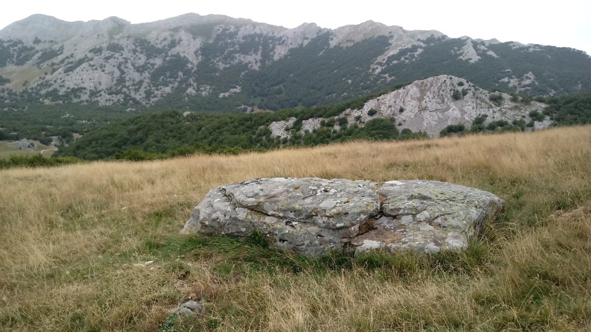 Pinpil I zutarria (2020)