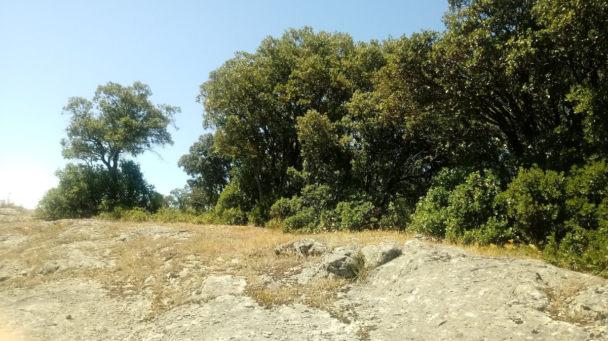 Azkorrieta (794m) tontorra