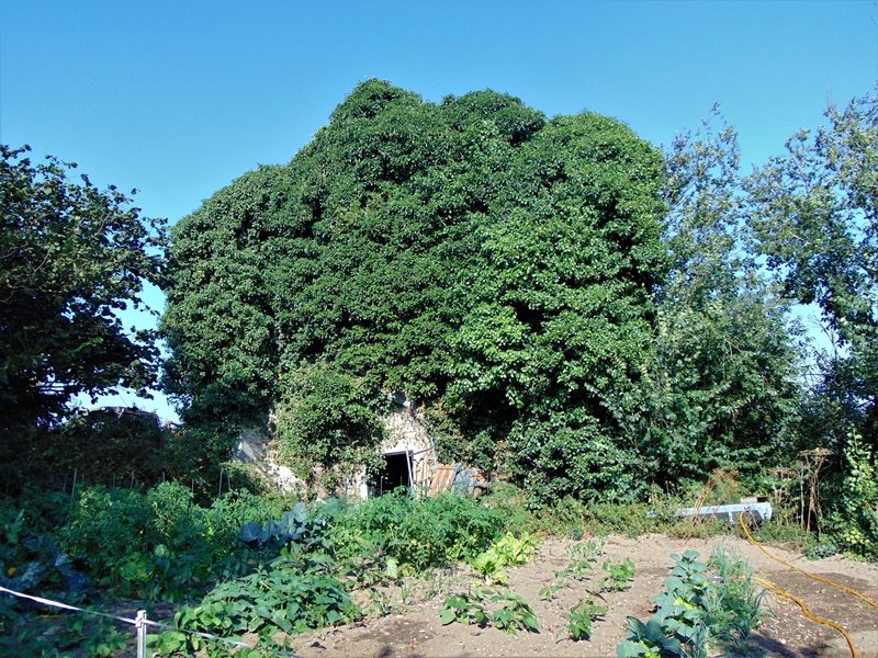 San Joakin eta Santa Ana Eliza Goiainen