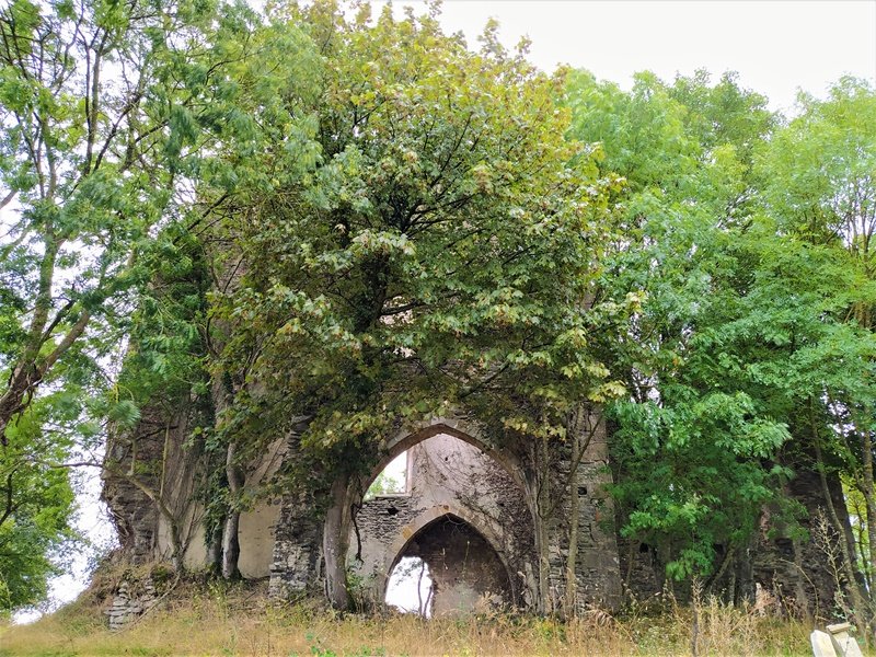 Asuncion Eliza Nafarraten