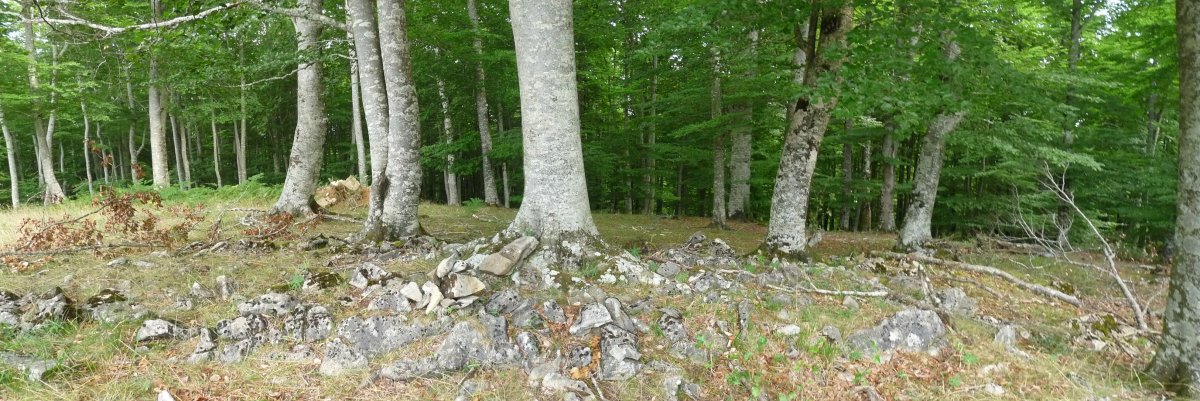 Zugazmendiko gailurra