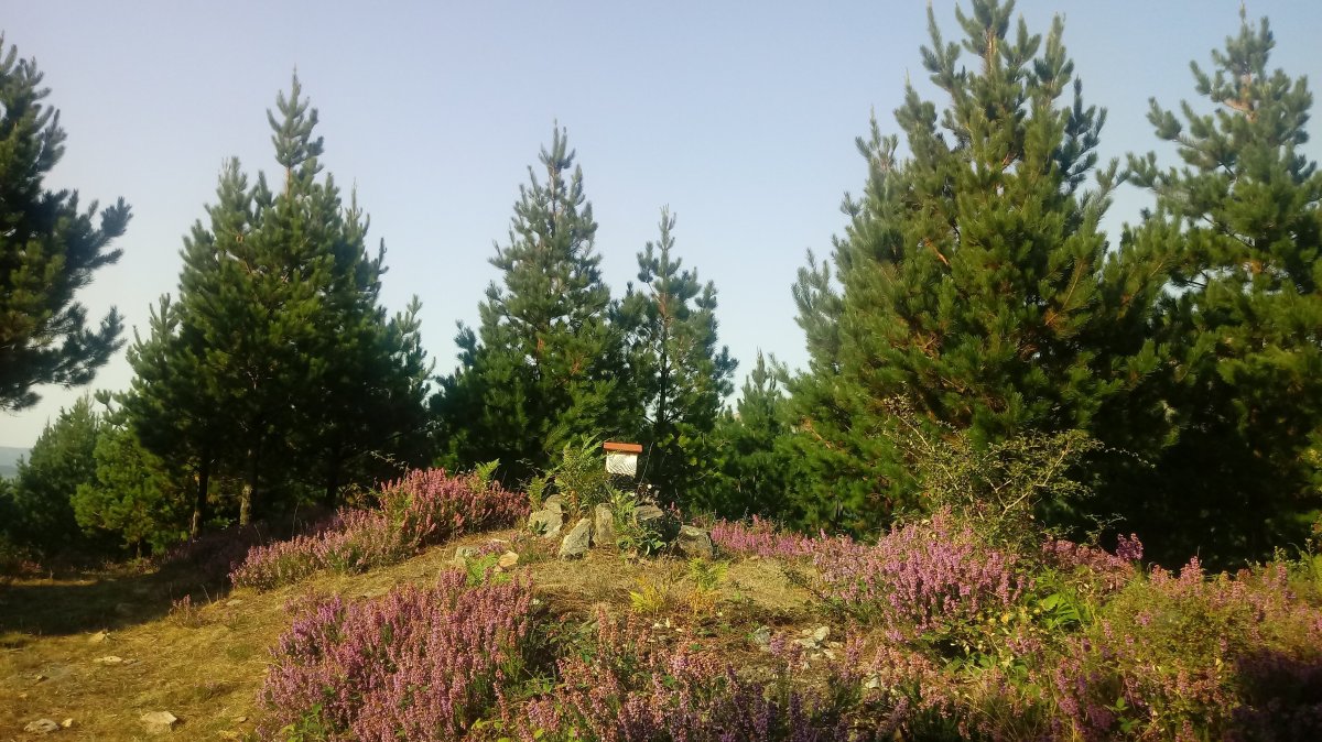 Larragain (661m) tontorrra