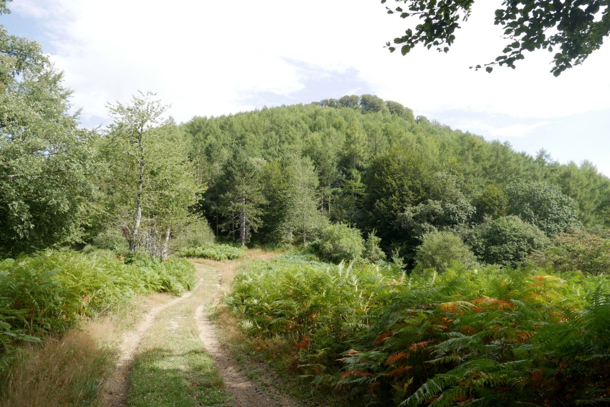 Arrizorrotz, Erramonen Bordako lepotik