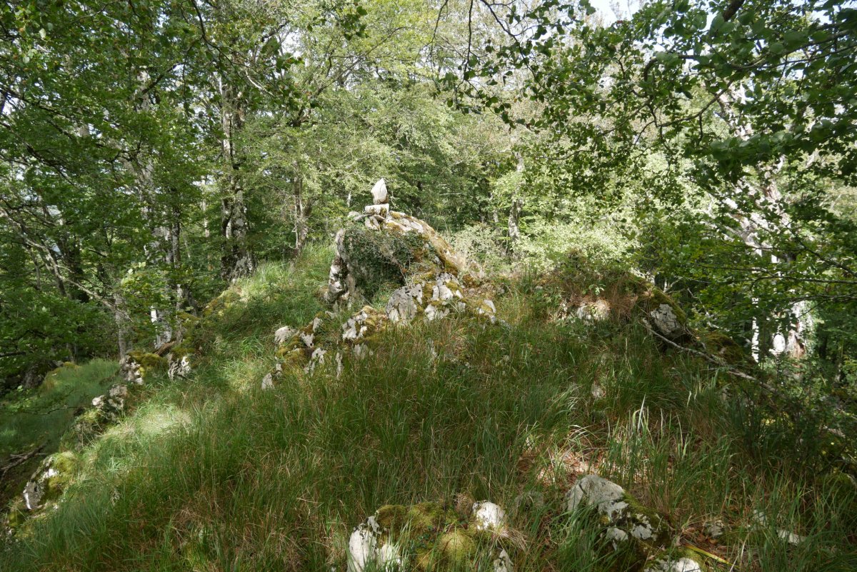 Arrizorrotz tontorra