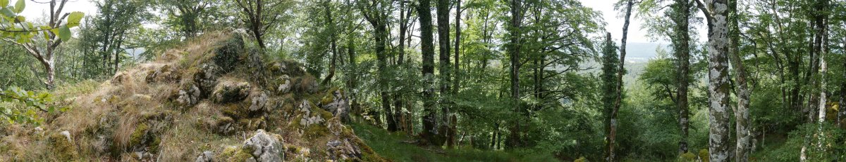 Arrizorrotz tontorra