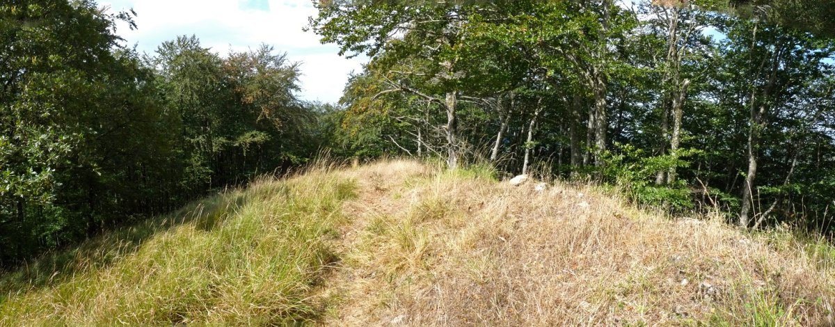 Askoko Puntako gailurra