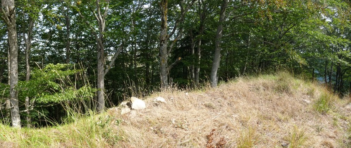 Askoko Puntako gailurra