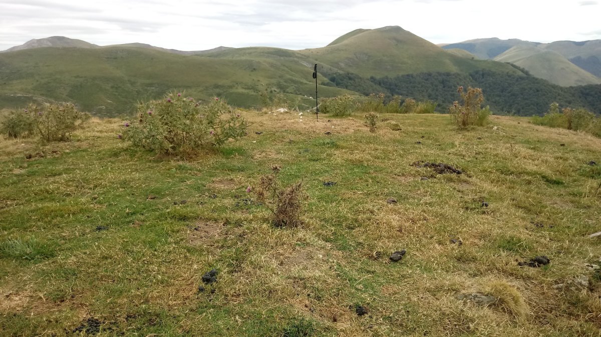 Azalegi (1164m) tontorra, atzean Mendizar (1223m) eta Errozate (1345m) punta