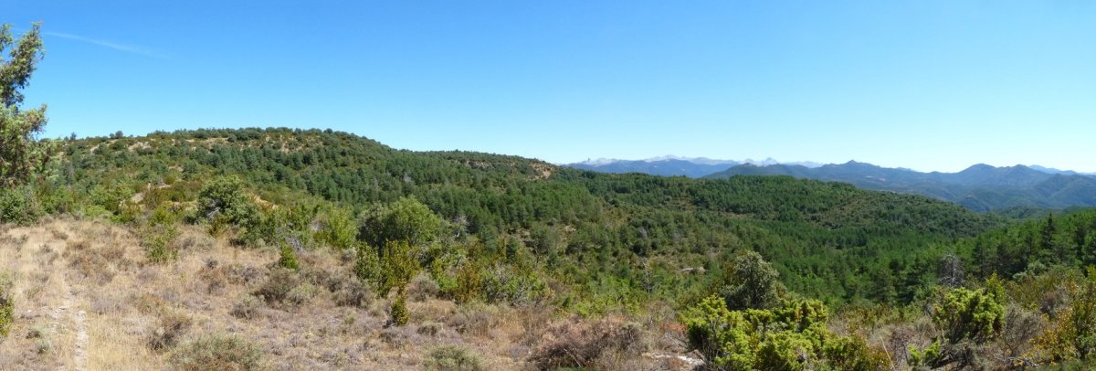 Landa gaina, Landarnako lepoaren gainean