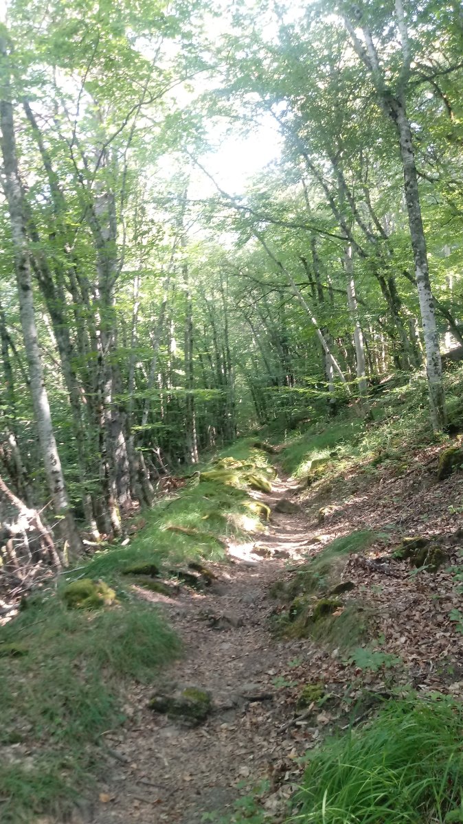 Goimendi (1127m) igoera senda pagadian