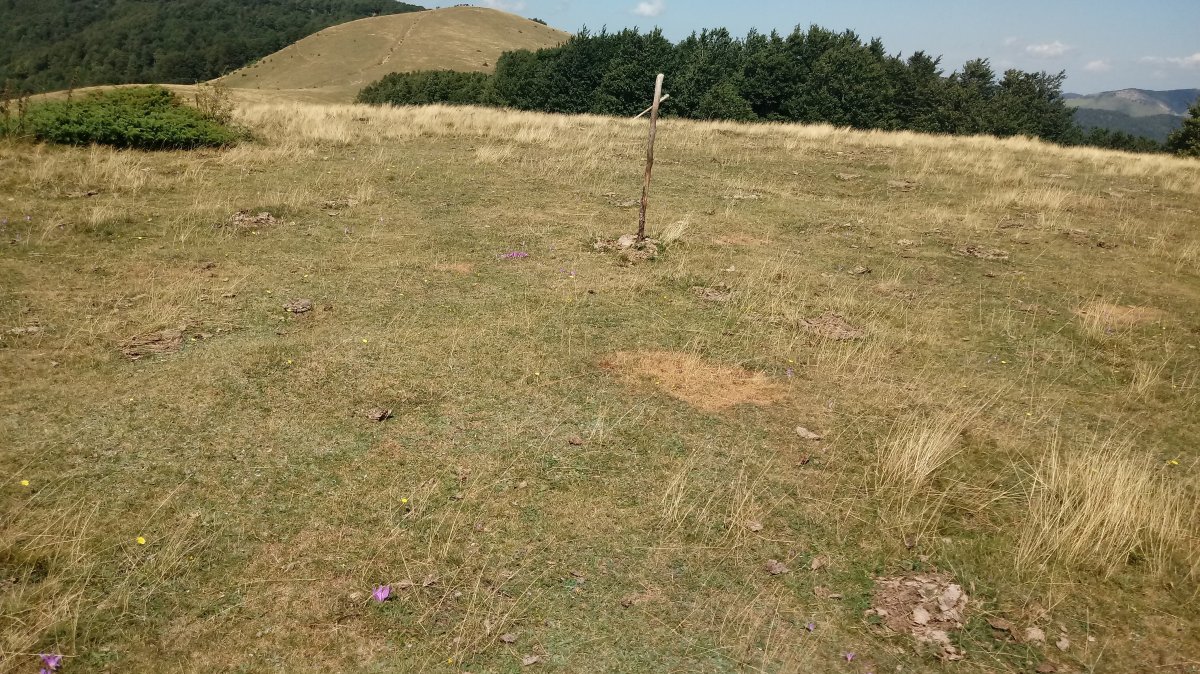 Gaztanbidea (1431m) tontorra