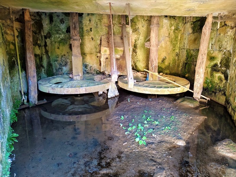 Errota Uribarri-Jauregin