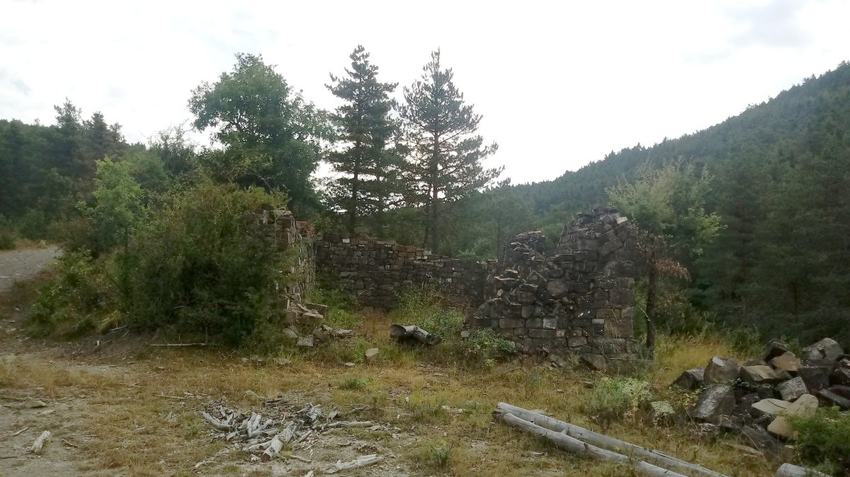 Aranako borda zaharra